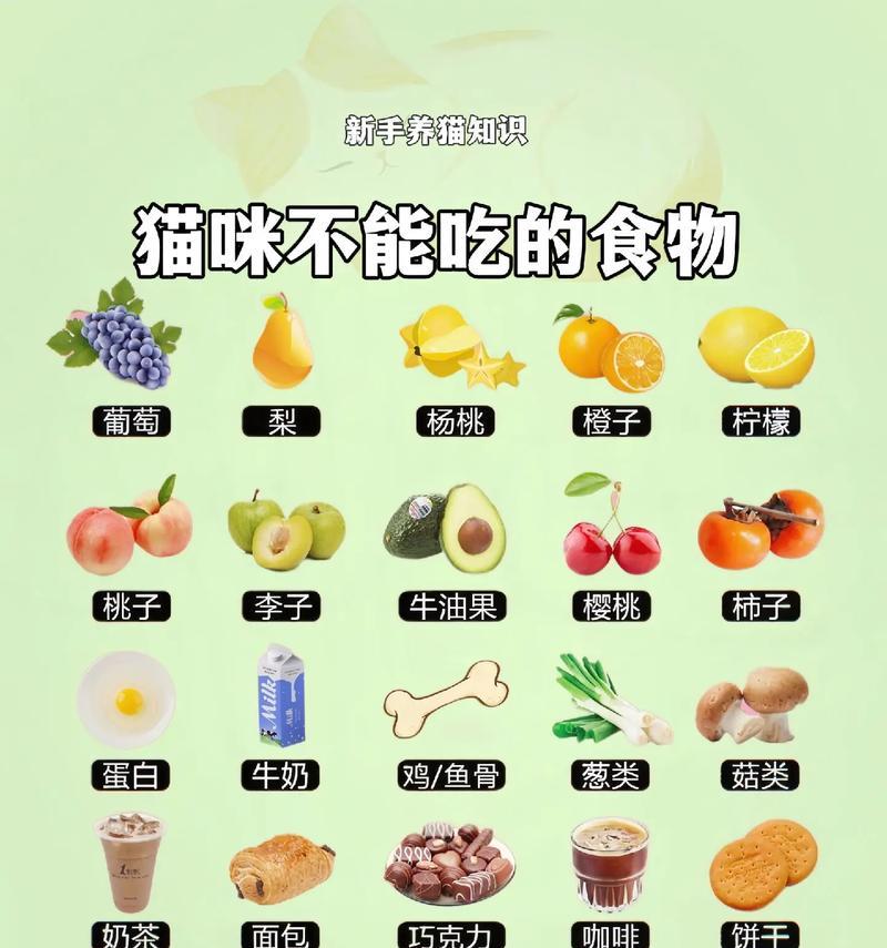 小猫的饮食习惯与喂养方法(养宠物必备知识) 小猫的饮食习惯与喂养方法(养宠物必备知识)