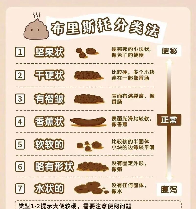 小狗狗的便便，了解正常才能保健（如何判断小狗狗的便便是否正常）