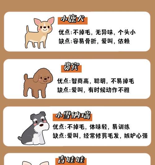 如何判断狗需要打虫（宠物爱犬的健康福利）