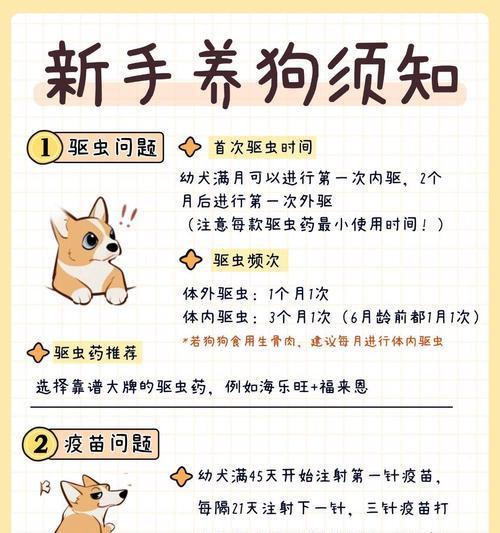 如何判断狗需要打虫（宠物爱犬的健康福利）