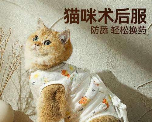 宠物母猫如何给小猫断奶（母猫断奶的正确方法及注意事项）