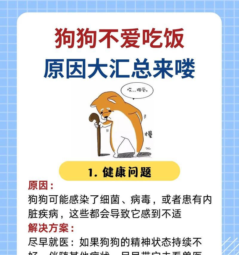 为什么阿拉斯加不愿意吃狗粮(揭秘宠物狗偏食的原因与解决方法) 为什么阿拉斯加不愿意吃狗粮(揭秘宠物狗偏食的原因与解决方法)