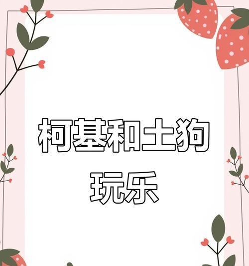 宠物故事(当柯基遇上野狗) 宠物故事(当柯基遇上野狗)