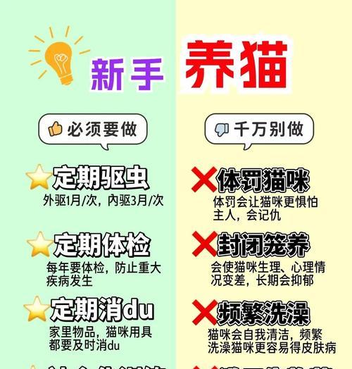 如何让宠物猫变得老实可爱(掌握5种方法) 如何让宠物猫变得老实可爱(掌握5种方法)