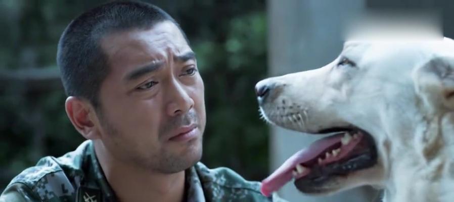 神犬奇兵演员表全揭秘(以宠物为主的惊险冒险之旅) 神犬奇兵演员表全揭秘(以宠物为主的惊险冒险之旅)
