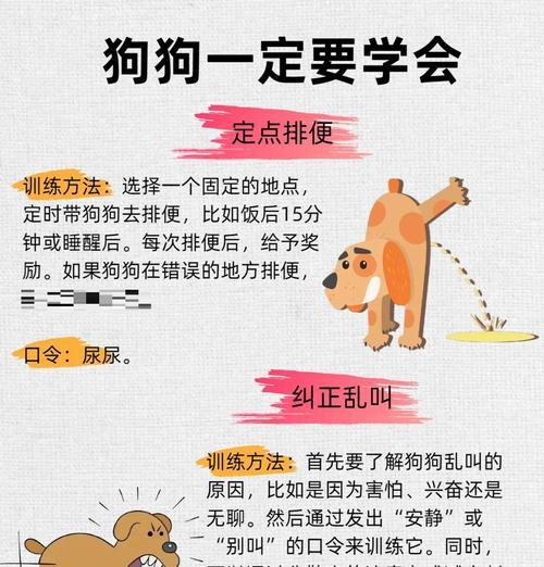 如何训练小狗拒食（宠物健康的关键在于控制饮食）