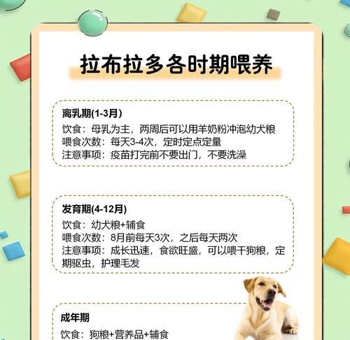 了解拉布拉多犬——最适合家庭的宠物(聪明、友善、活泼) 了解拉布拉多犬——最适合家庭的宠物(聪明、友善、活泼)