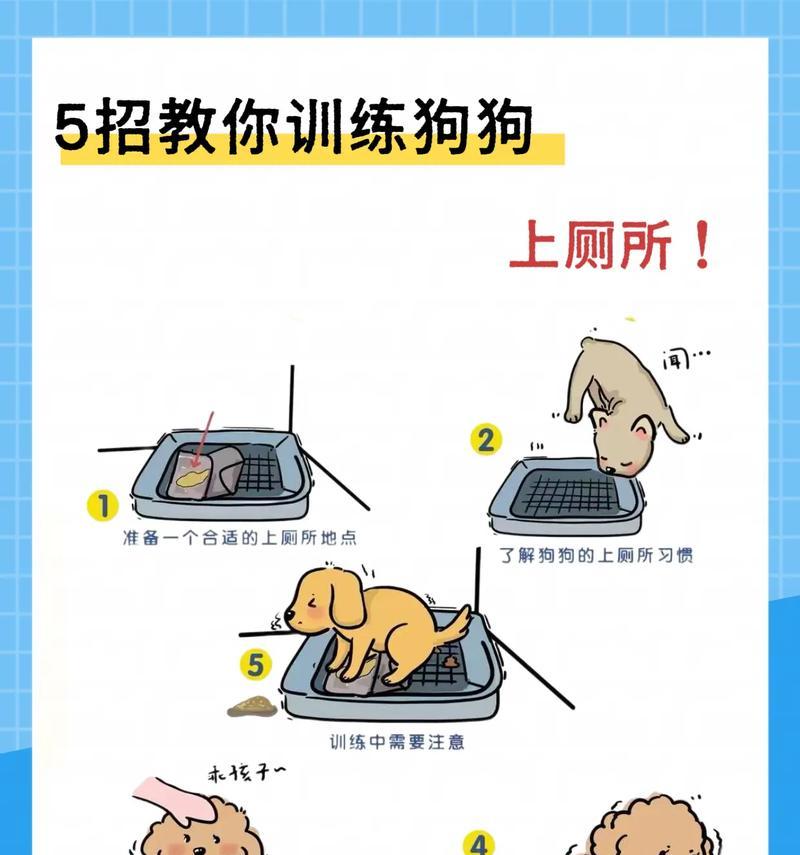 如何训练狗狗挣地盘(建立宠物的领地意识) 如何训练狗狗挣地盘(建立宠物的领地意识)