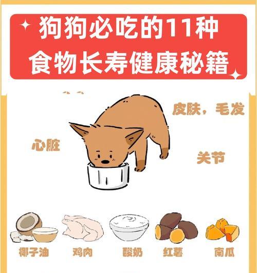 益生菌狗狗的水需求量(让你的宠物健康饮水) 益生菌狗狗的水需求量(让你的宠物健康饮水)