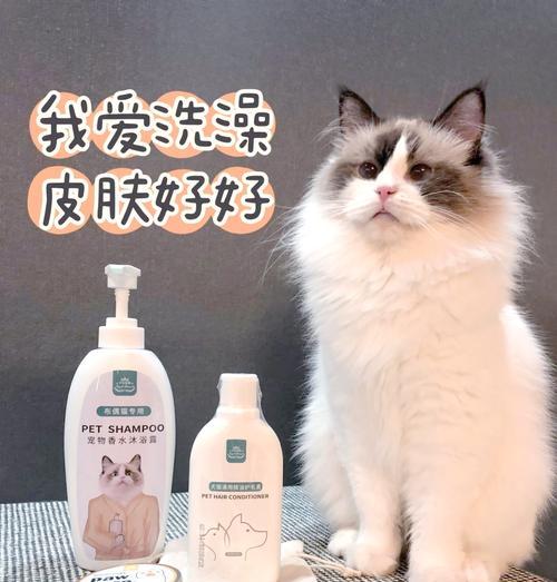 小猫为什么不爱洗澡（探究小猫不爱洗澡的原因及如何让小猫愉快地洗澡）