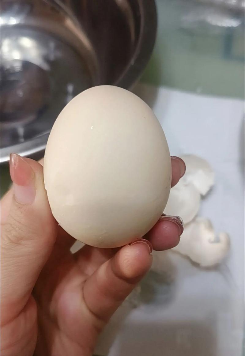 猫咪能否吃鸡蛋(宠物养护指南) 猫咪能否吃鸡蛋(宠物养护指南)