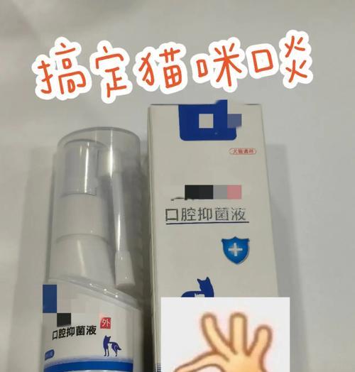 小猫的日常药物管理（宠物健康不容忽视）