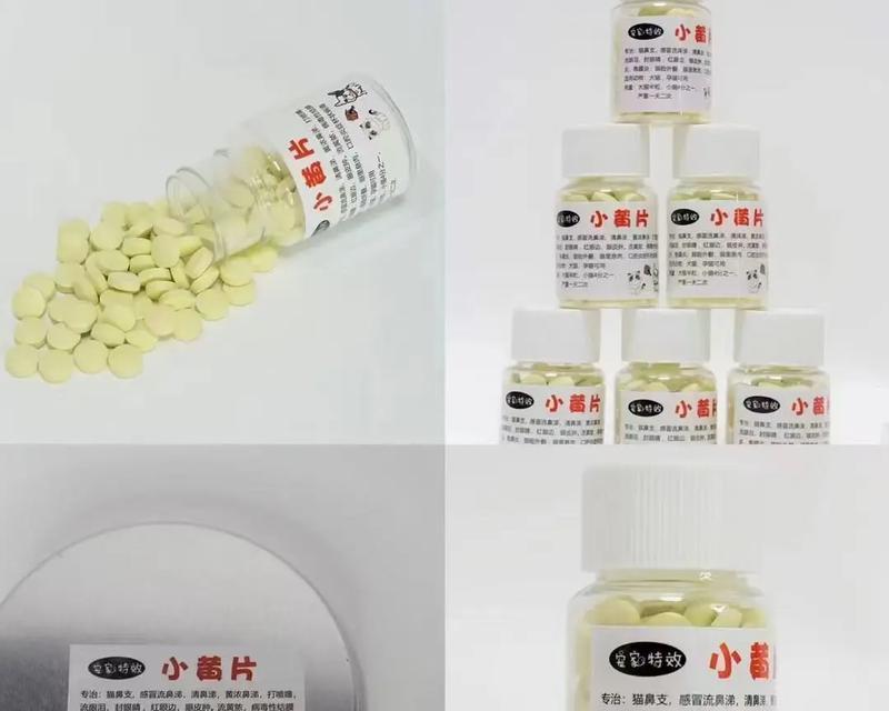 小猫的日常药物管理（宠物健康不容忽视）