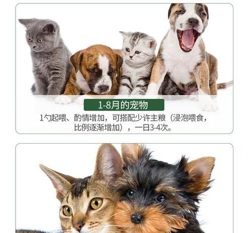 新生幼犬每次饮水量应注意的事项(合理的饮水量能保证宠物健康成长) 新生幼犬每次饮水量应注意的事项(合理的饮水量能保证宠物健康成长)