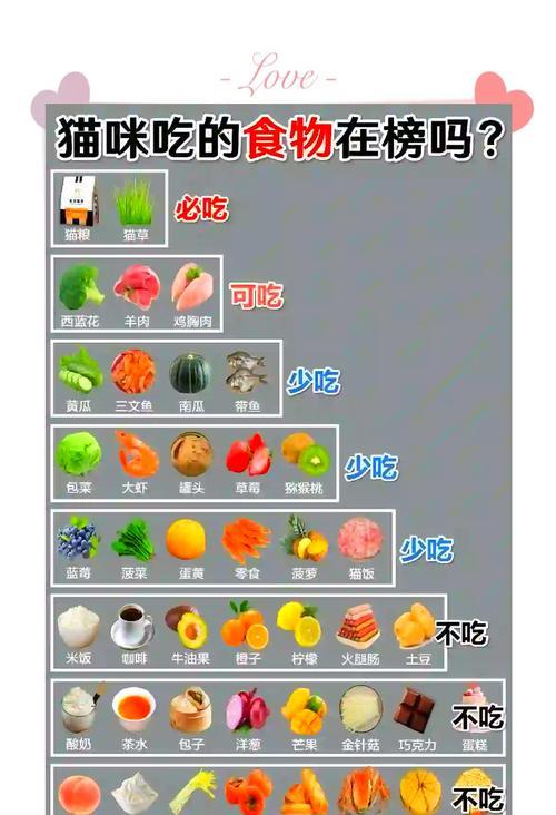小猫生病怎么办（宠物猫生病应该怎样饮食？——以食养病）