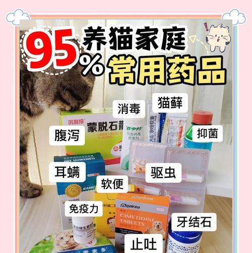 小猫生病怎么办（宠物猫生病应该怎样饮食？——以食养病）