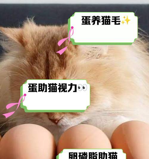 以宠物为主，详解小猫吃鸡蛋的利与弊（以宠物为主）