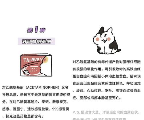 宠物感冒药中毒的危害（如何预防和处理宠物感冒药中毒）