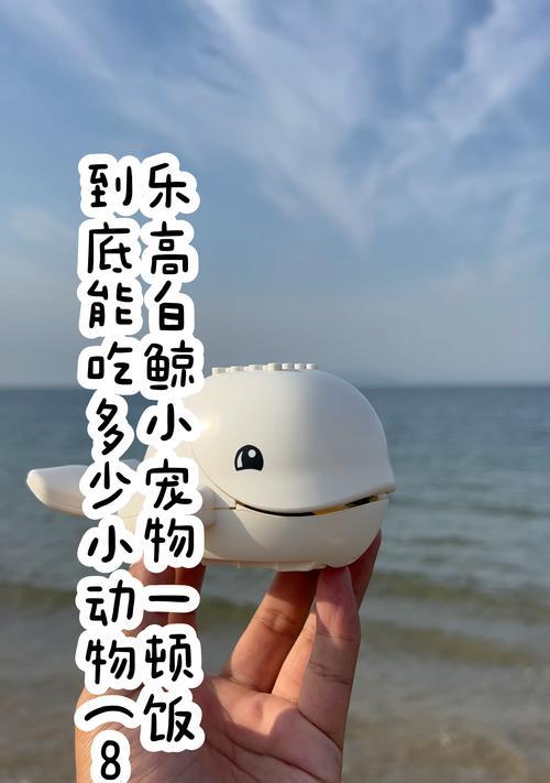 揭秘狗仔鲸的饮食习惯（以宠物为主的水生哺乳动物）