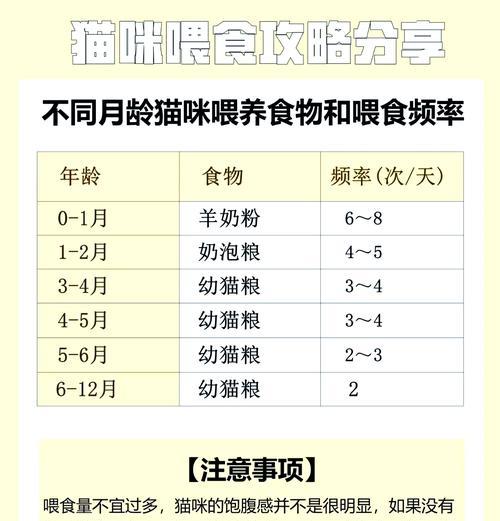 猫咪软便可否食用小米粥（宠物健康饮食的必备知识）