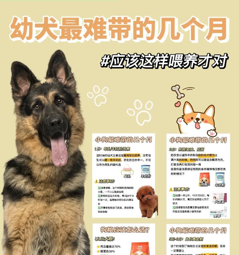 小狗打完疫苗后能否喂成长狗粮（宠物健康需谨慎）