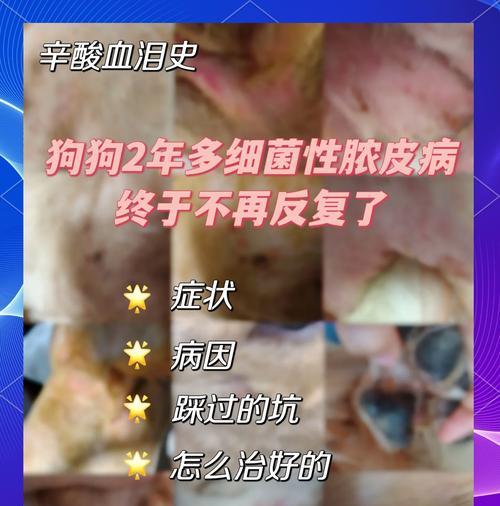 狗狗皮肤病如何止痒(宠物抓皮肤病停不下来) 狗狗皮肤病如何止痒(宠物抓皮肤病停不下来)