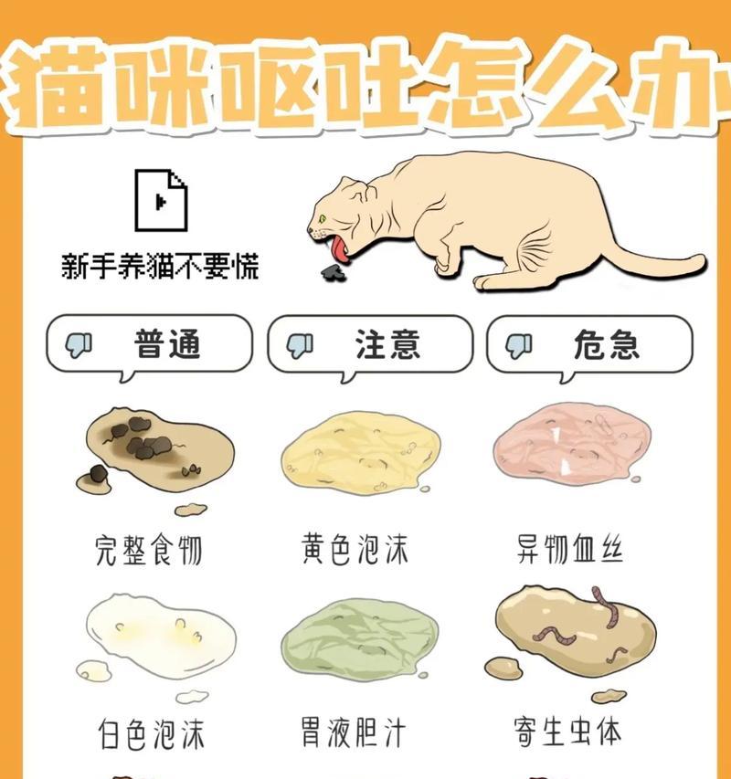 如何处理宠物猫的拉稀问题(15种有效的方法帮助您处理宠物猫的拉稀问题) 如何处理宠物猫的拉稀问题(15种有效的方法帮助您处理宠物猫的拉稀问题)