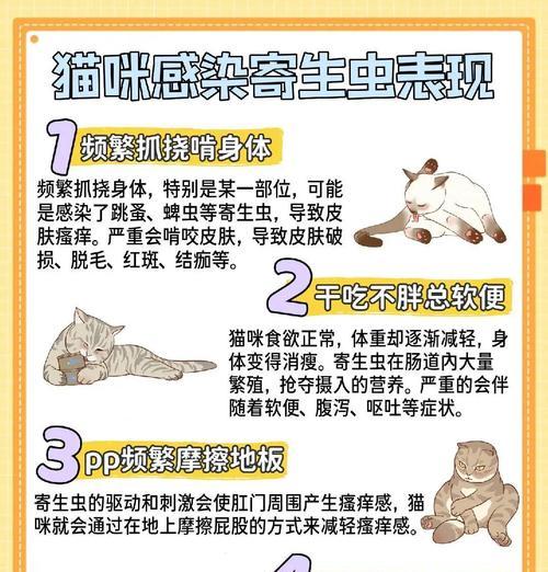 小心(宠物健康重要) 小心(宠物健康重要)