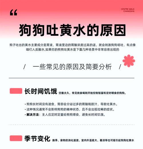 解析狗腹水的成因及处理方法(宠物主人必读) 解析狗腹水的成因及处理方法(宠物主人必读)