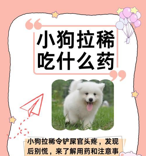 宠物拉稀怎么办(小狗拉稀呕吐怎么处理) 宠物拉稀怎么办(小狗拉稀呕吐怎么处理)